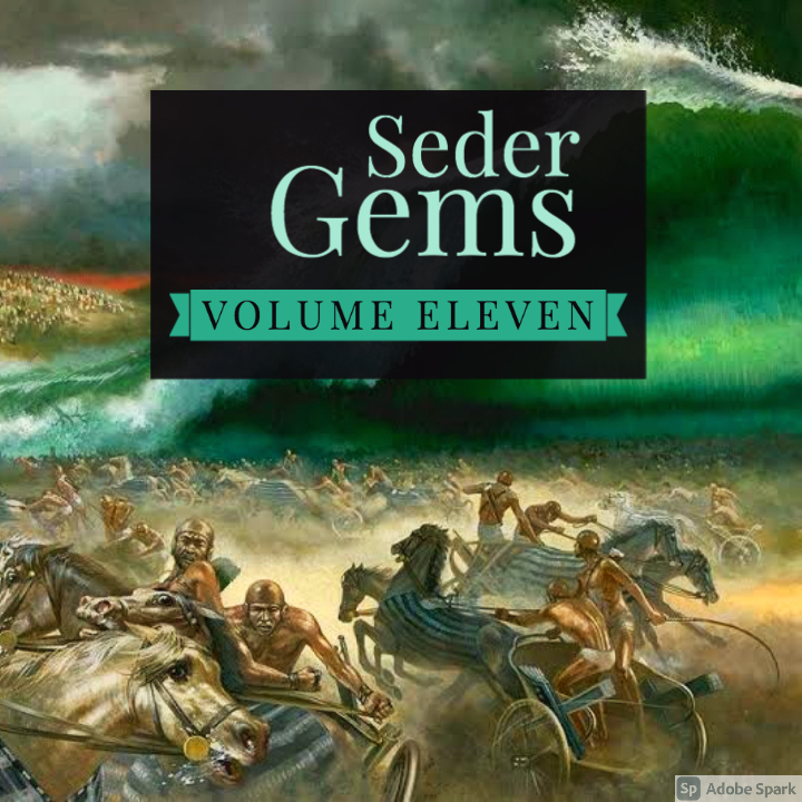seder-gems-volume-eleven-shluchim-speeches