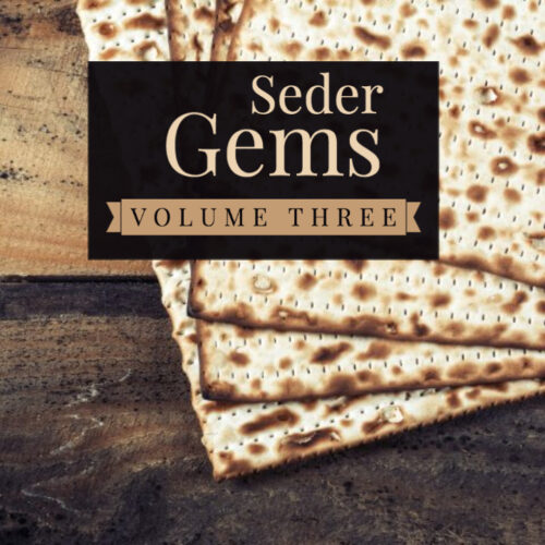 seder-gems-volume-three-shluchim-speeches